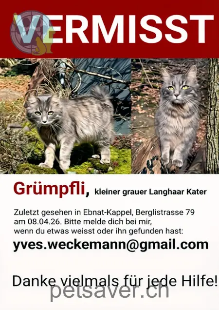 chat lost 79 Berglistrasse 9642 Kappel Yves