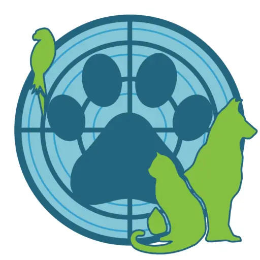 chat lost  Rossbergweg 8832 Wollerau Bobi