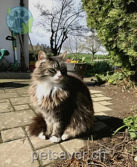 chat lost 2 Sonnenbergweg 8507 Hörhausen Monty