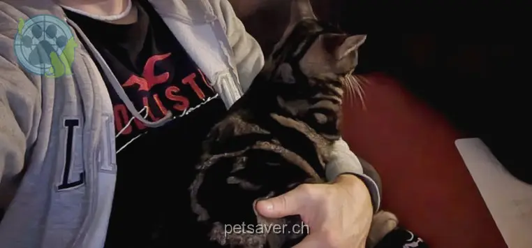 chatte lost 16 Oberdorf 7306 Fläsch Klini